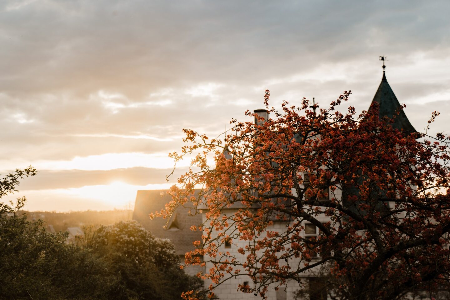 Saumur